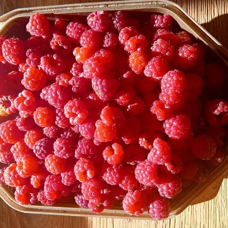 Nad Jeziorem Strykowskim 度假居 *