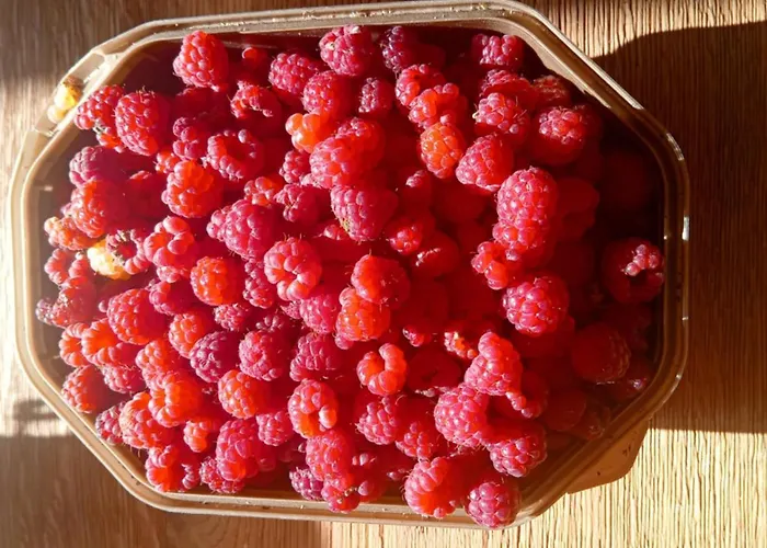 Nad Jeziorem Strykowskim Holiday home *