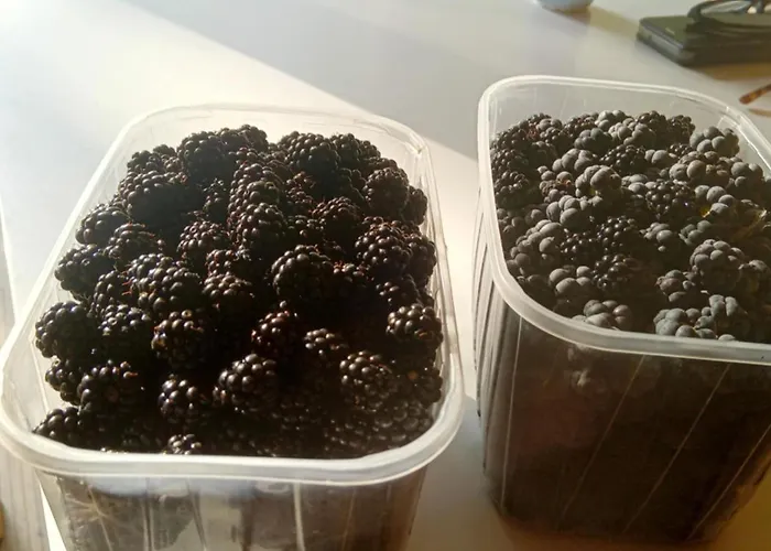 Nad Jeziorem Strykowskim Semesterbostad Sapowice