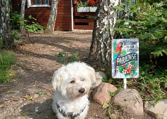 Nad Jeziorem Strykowskim